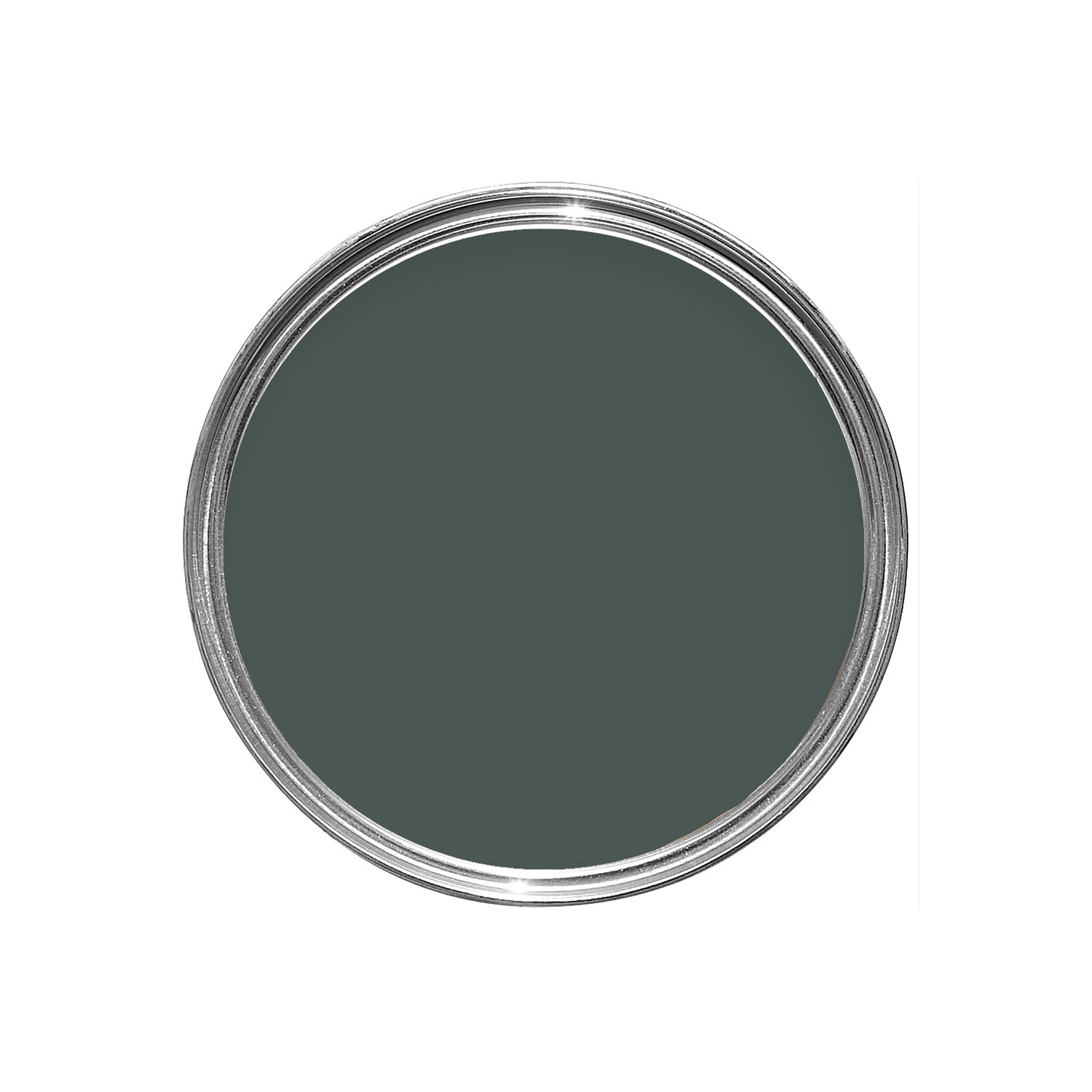 Farrow & Ball Monkey Puzzle No. 238 paint, duvallatelier.com