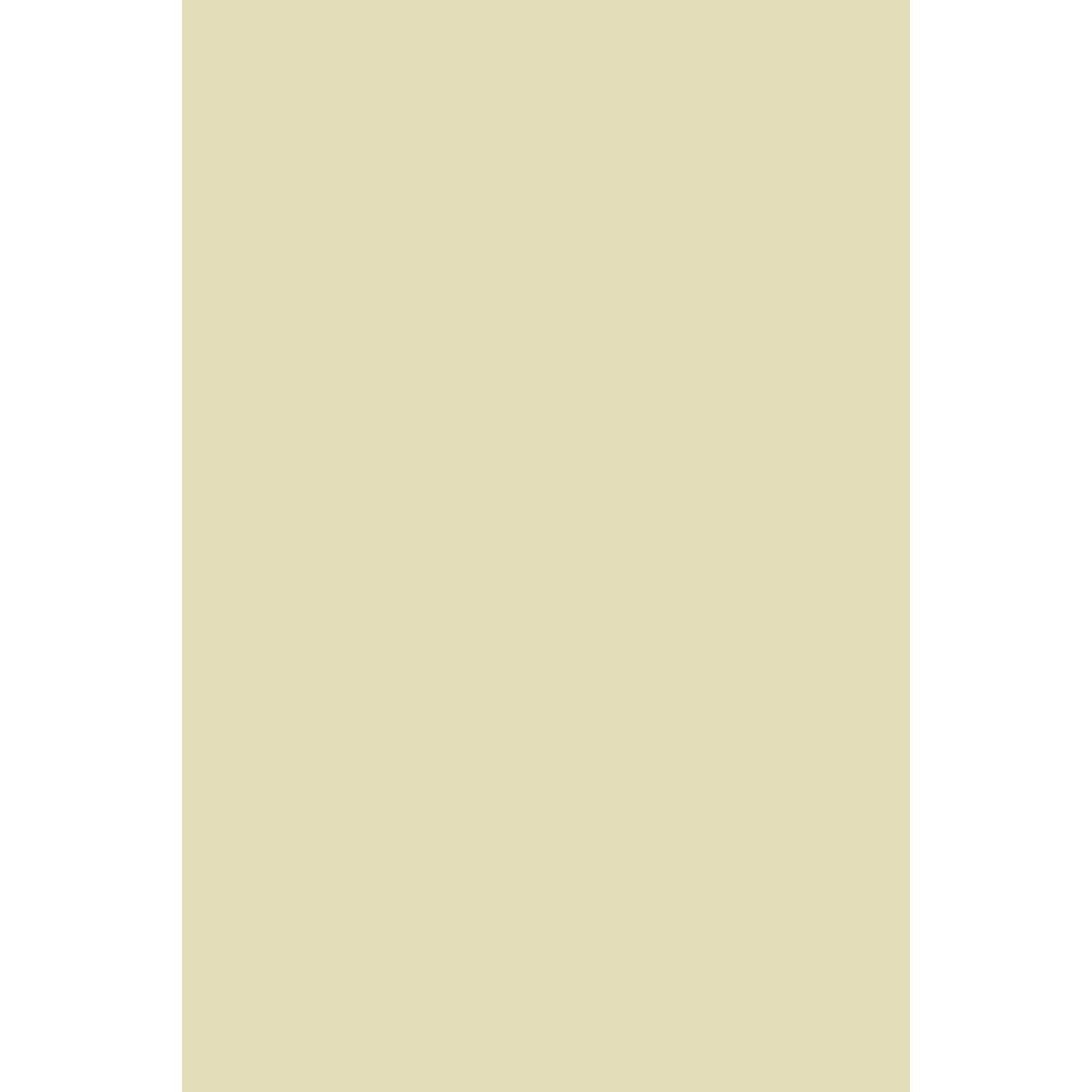Farrow & Ball Pale Hound No. 71 paint Swatch, duvallatelier.com