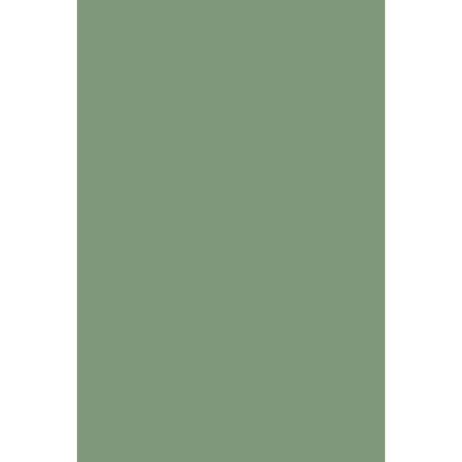 Farrow &amp; Ball Pea Green No. 33 paint swatch, duvallatelier.com