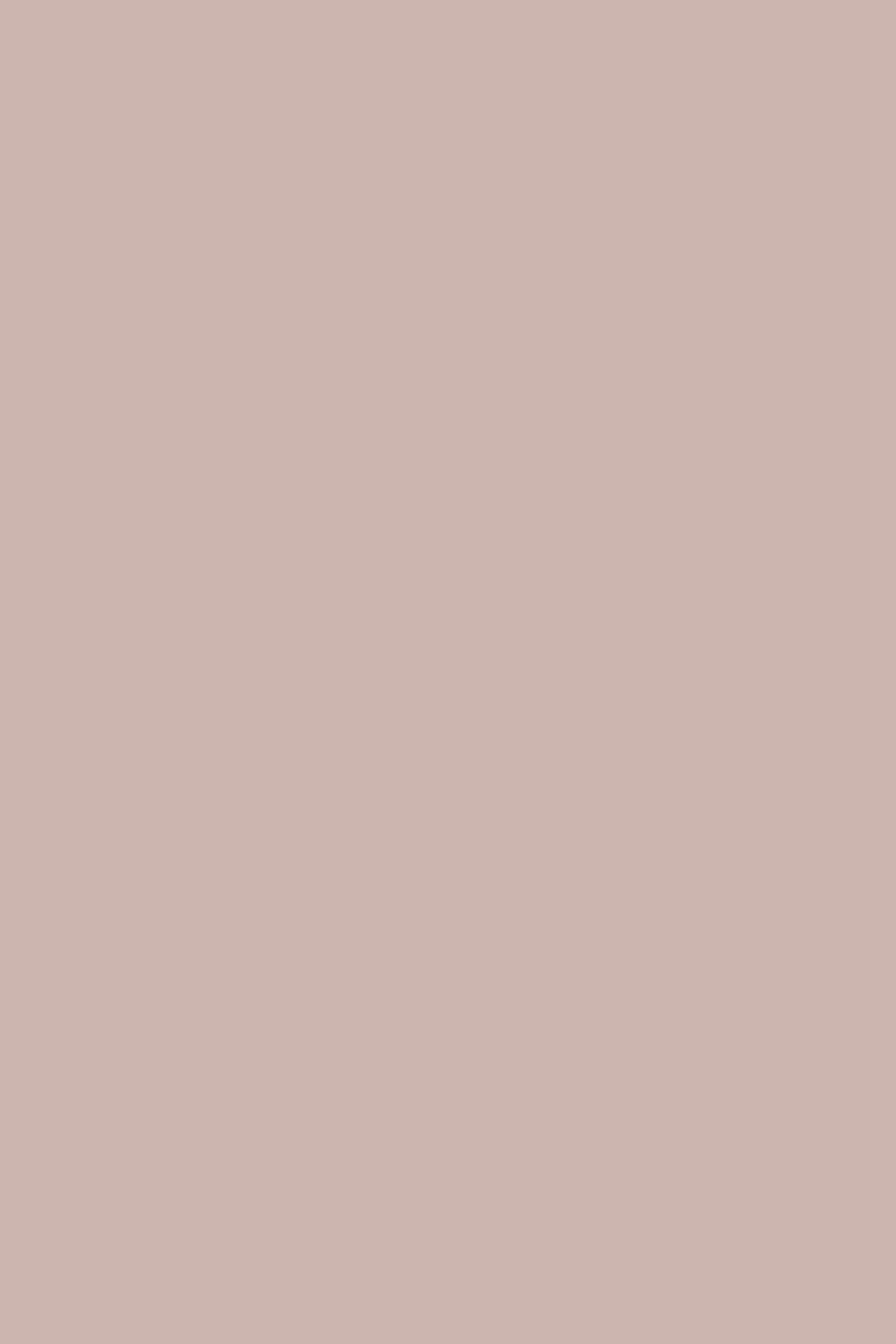 Farrow & Ball Pink Drab No.207 Paint Swatch, duvallatelier.con