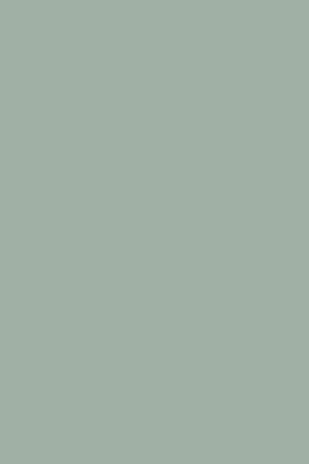 Farrow & Ball Pond Green No. G07 paint  Swatch, duvallatelier.com