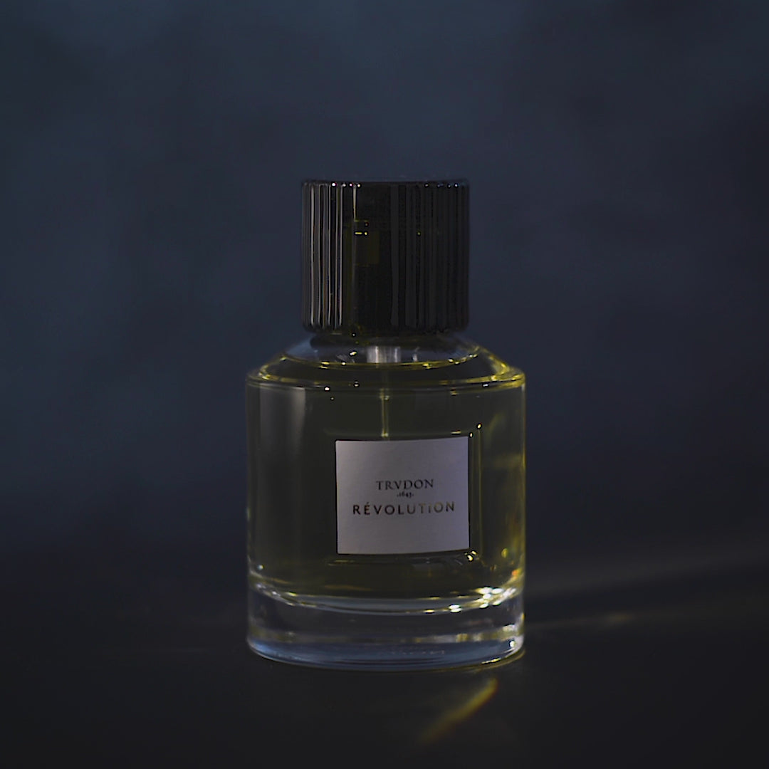 REVOLUTION by TRUDON, DUVALLATELIER.COM