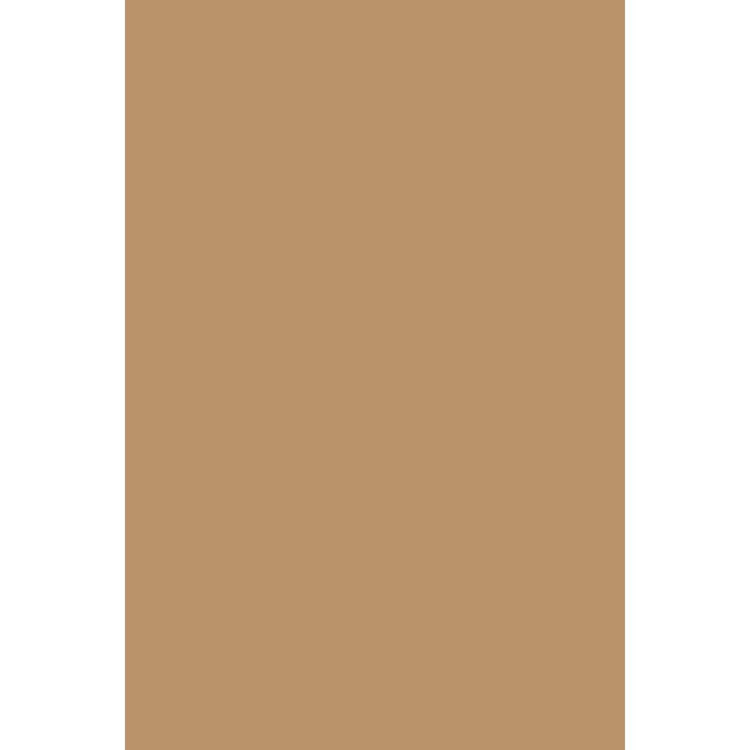 Farrow &amp; Ball Sand No. 45 paint swatch, duvallatelier.com