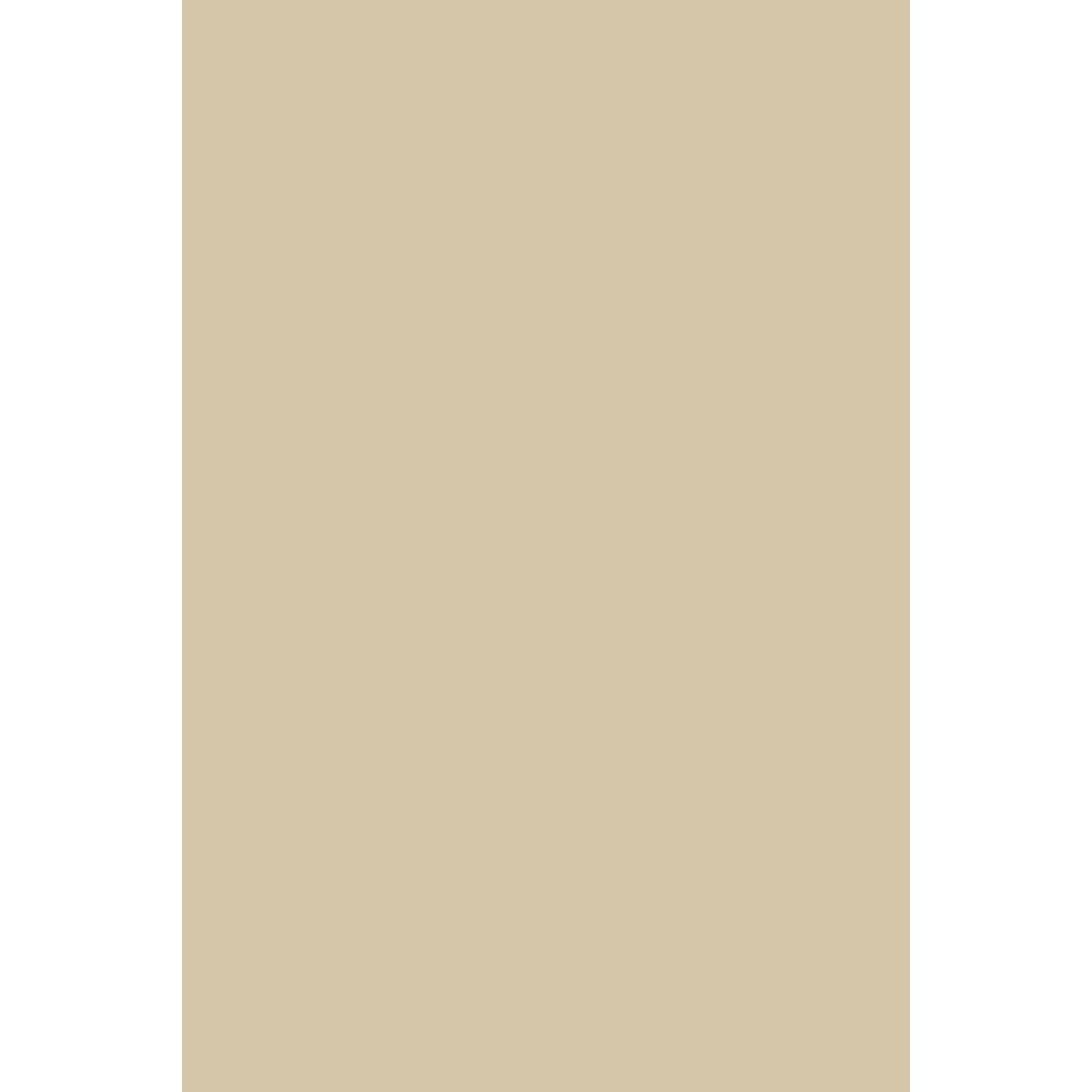 Farrow & Ball Savage Ground No. 213 paint swatch, duvallatelier.com