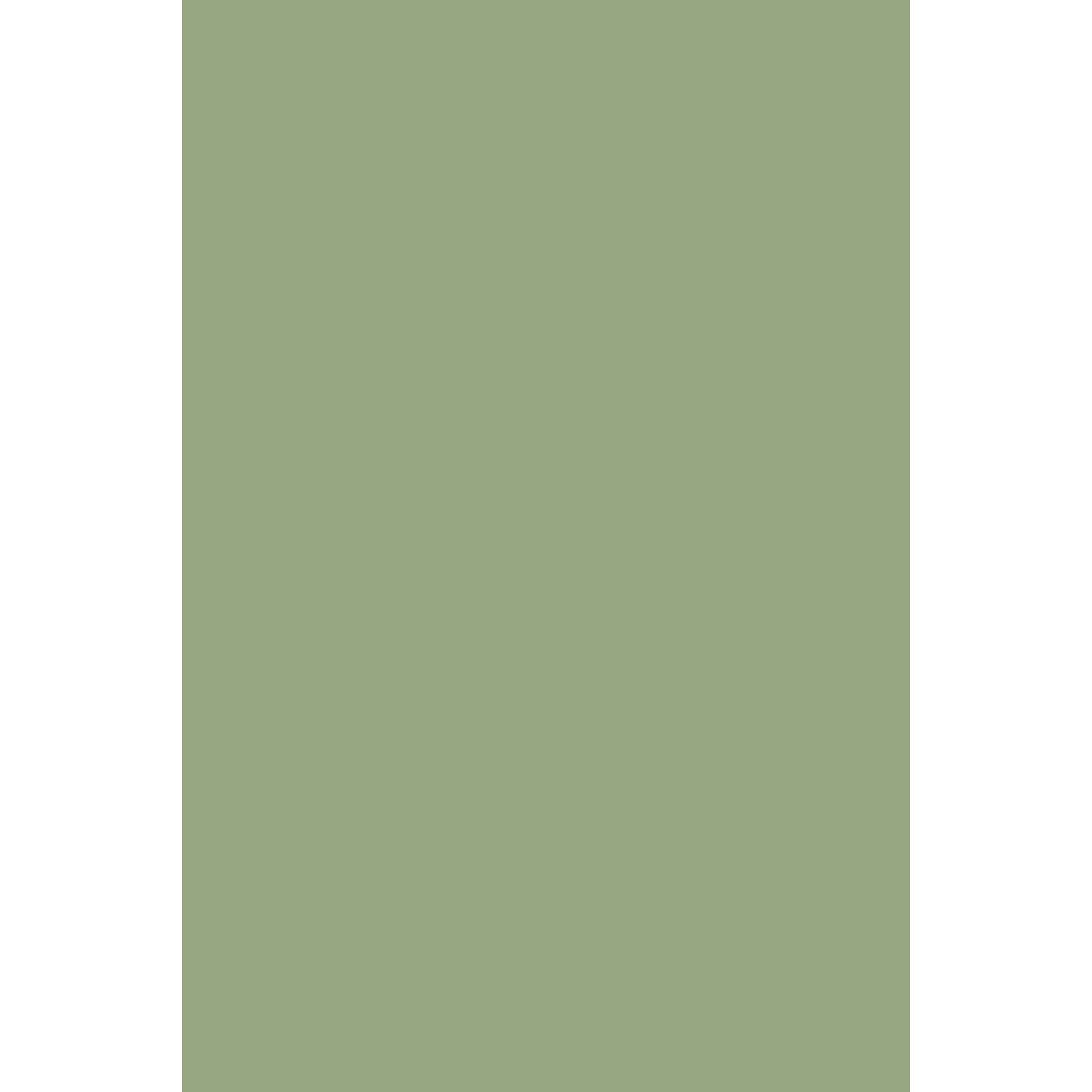 Farrow & Ball Saxon Green No. 80 paint swatch, duvallatelier.com
