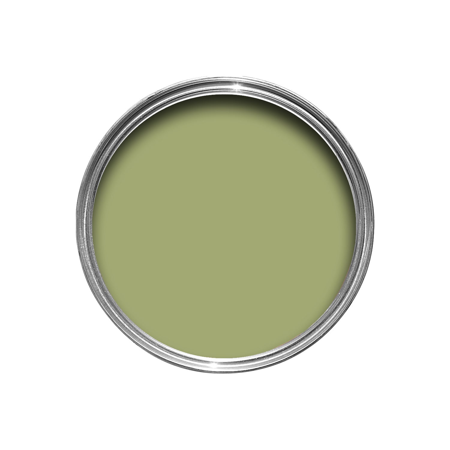 Farrow & Ball Saxon Green No. 80 paint, duvallatelier.com