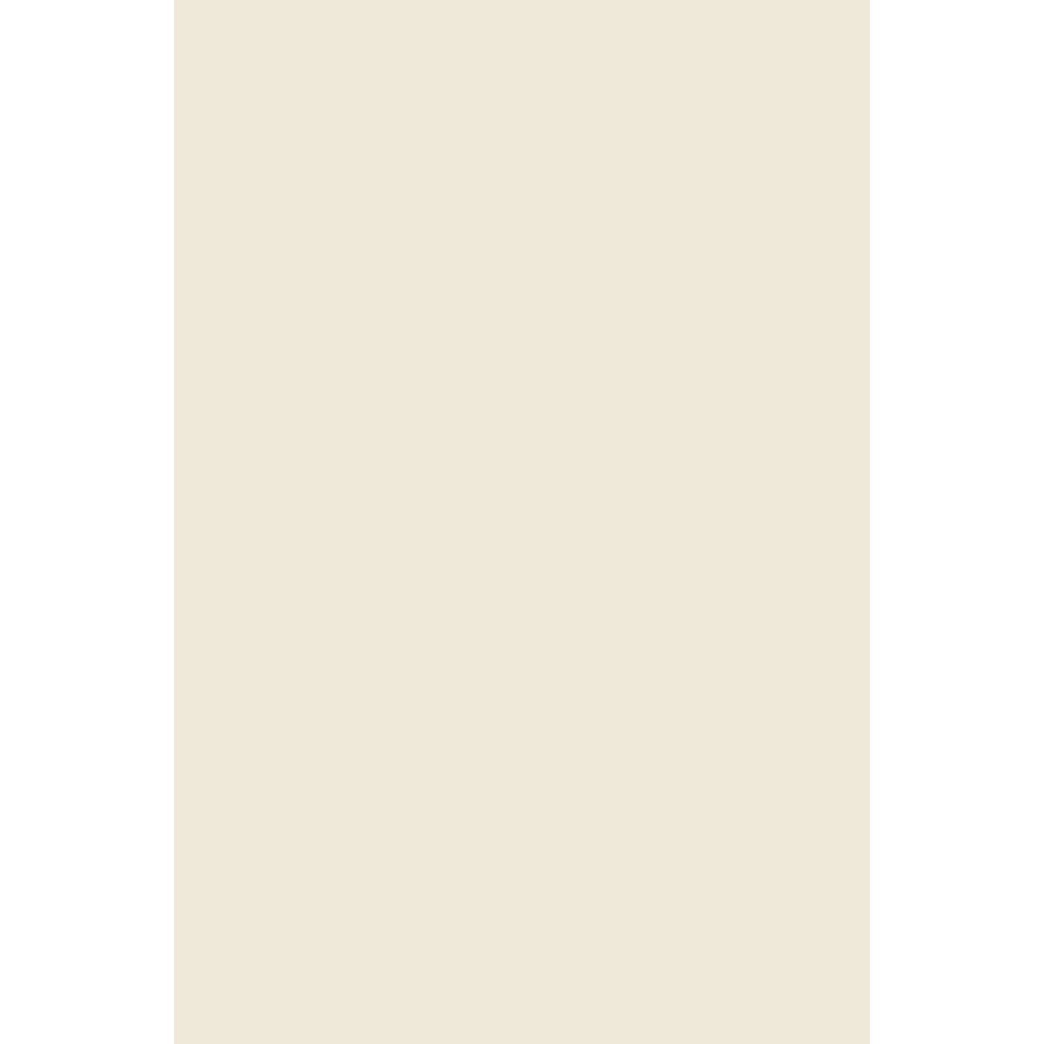 Farrow & Ball Snow White No. W1 paint swatch, duvallatelier.com