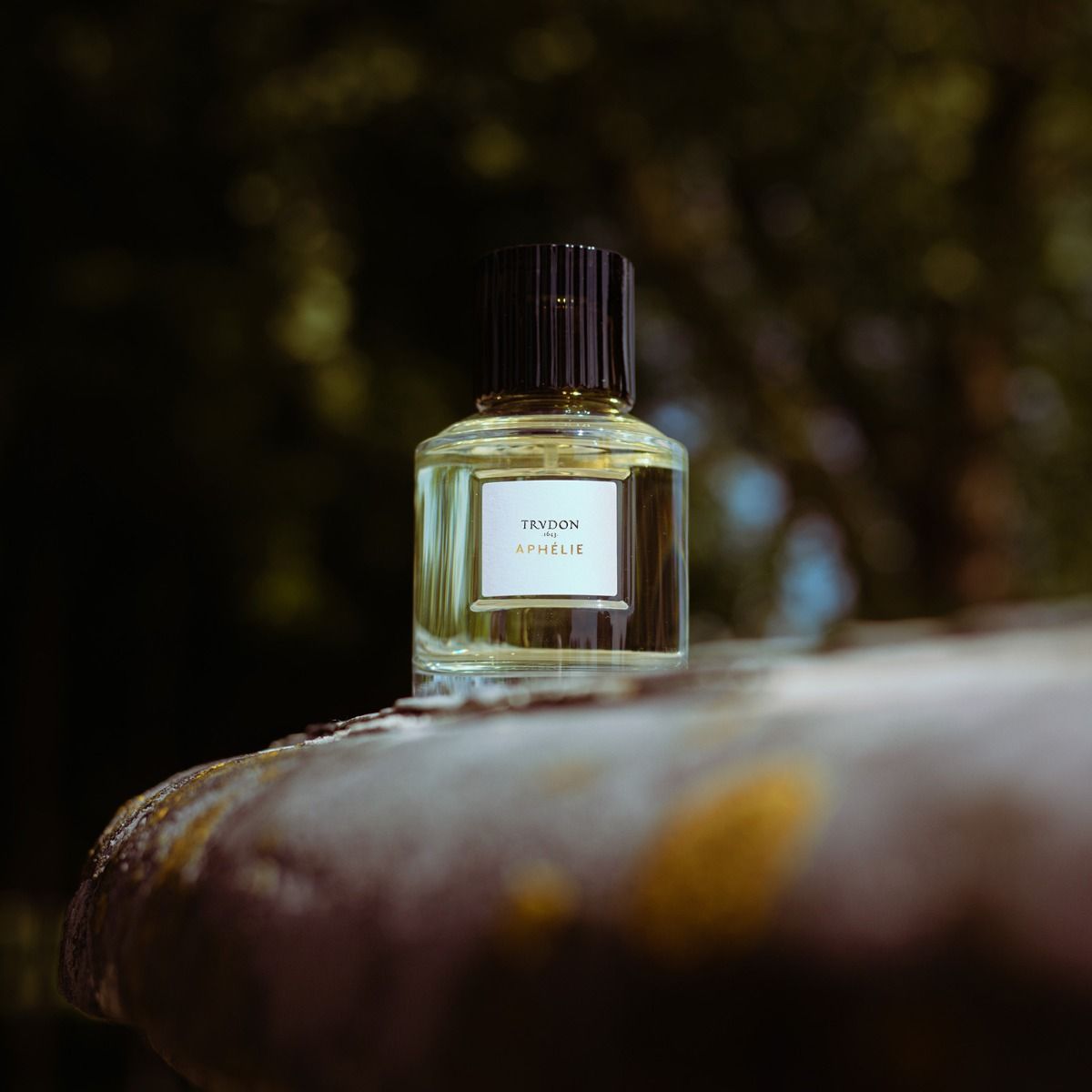 APHELIE by TRUDON, DUVALLATELIER.COM