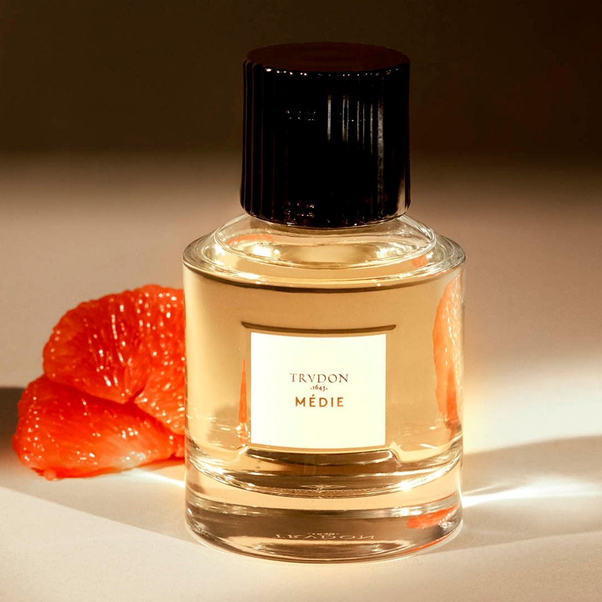 MÉDIE by TRUDON , DUVALLATELIER.COM