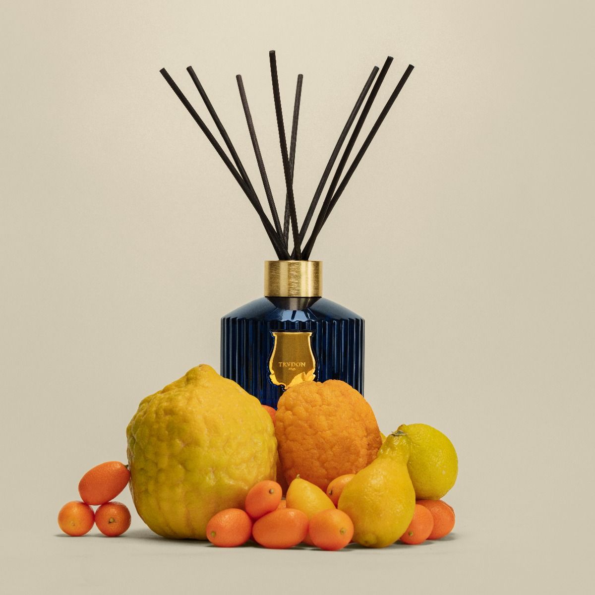 TRUDON THE DIFFUSER REGGIO - Hint of Citrus from Calabria
