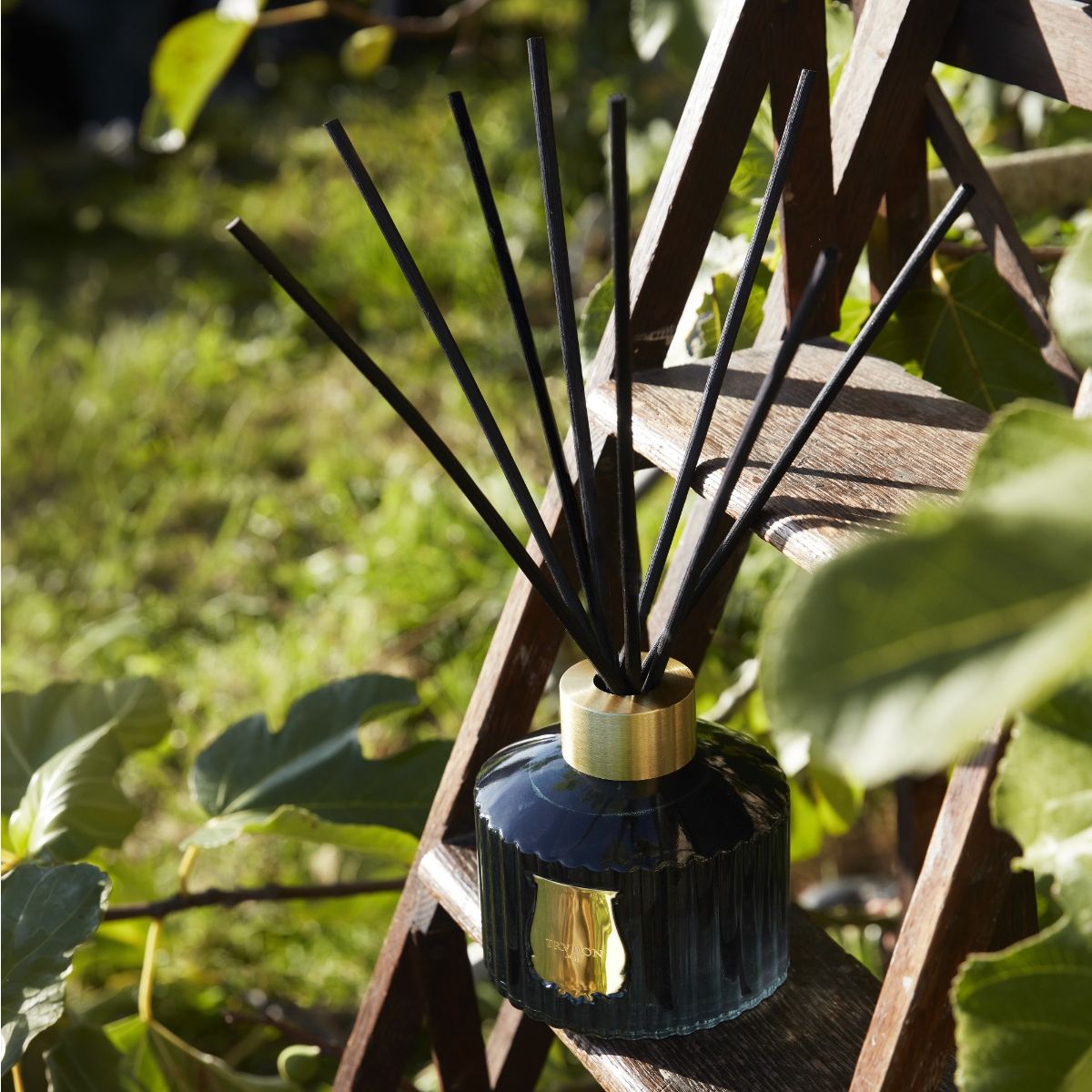TRUDON THE DIFFUSER FIGUERIE - FIG LEAVES AND HYACINTH