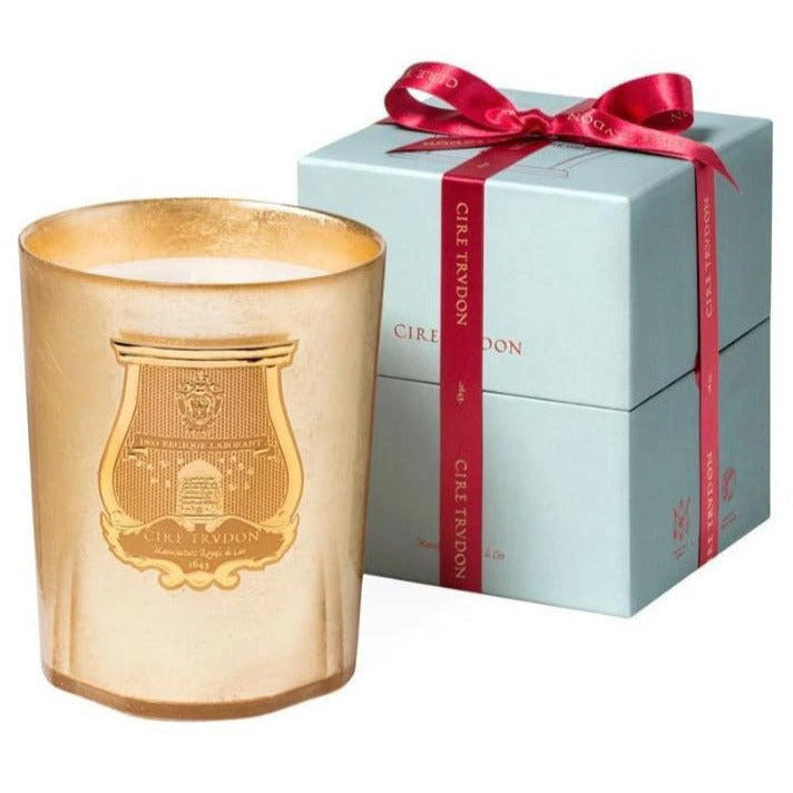 TRUDON Classic Candle, Ernesto - Leather and Tobacco
