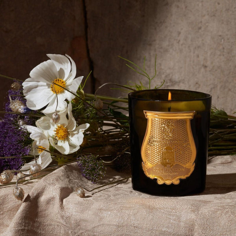 TRUDON Classic Candle, Abd El Kader - Moroccan Mint Tea