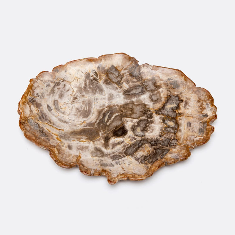 Duvall Atelier Petrified wood becomes a work of art thanks to the polished shine of our Dashiell tray. Intricate patterns make for fascinating organic accents.